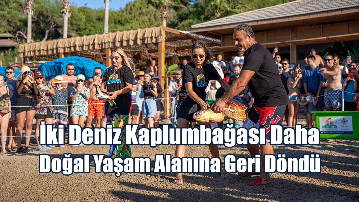 İki Deniz Kaplumbağası Daha Doğal Yaşam Alanına Geri Döndü