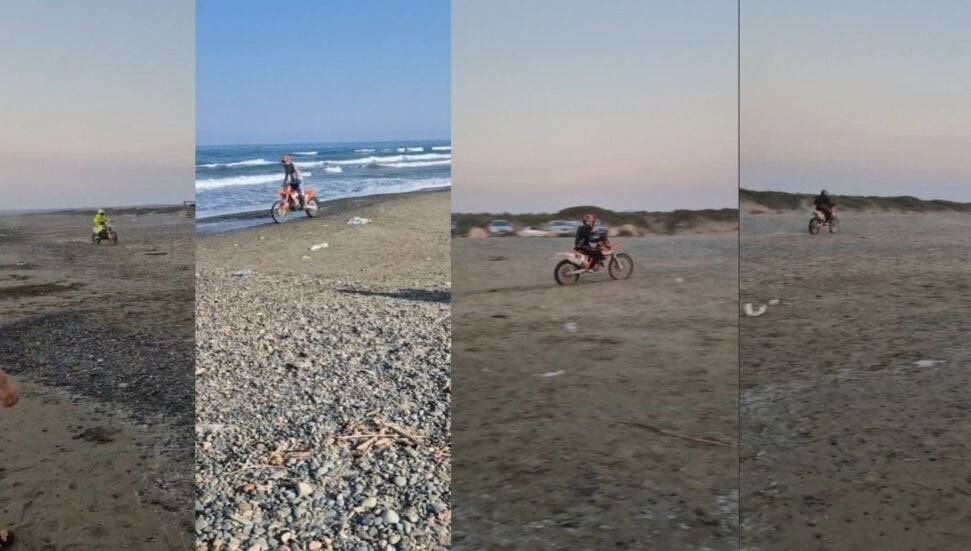 “Deniz kaplumbağalarının yaşam alanları tehlikede”