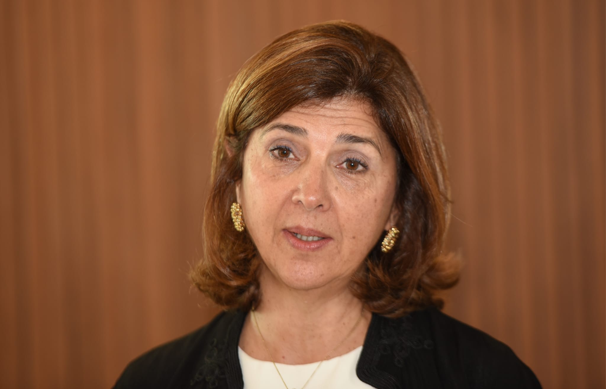 Holguin, Rum Müzakereci Menelau ile görüştü